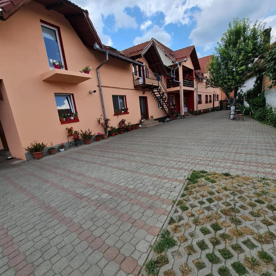 Vila Vladut Zărneşti Dış mekan fotoğraf
