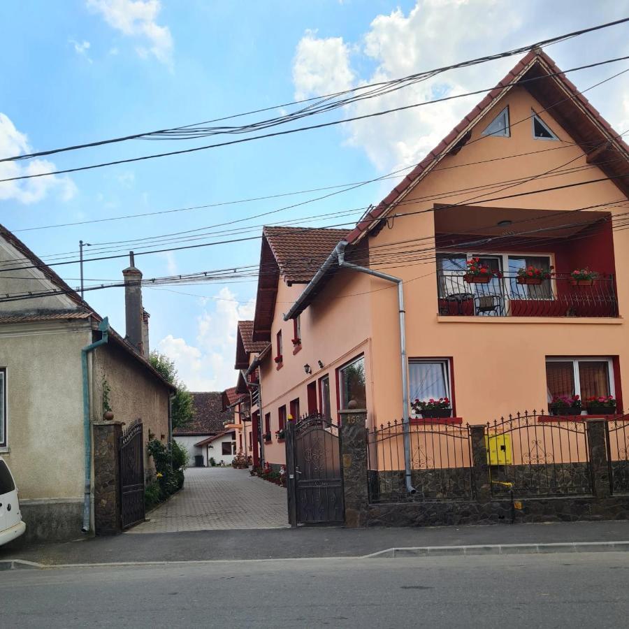 Vila Vladut Zărneşti Dış mekan fotoğraf