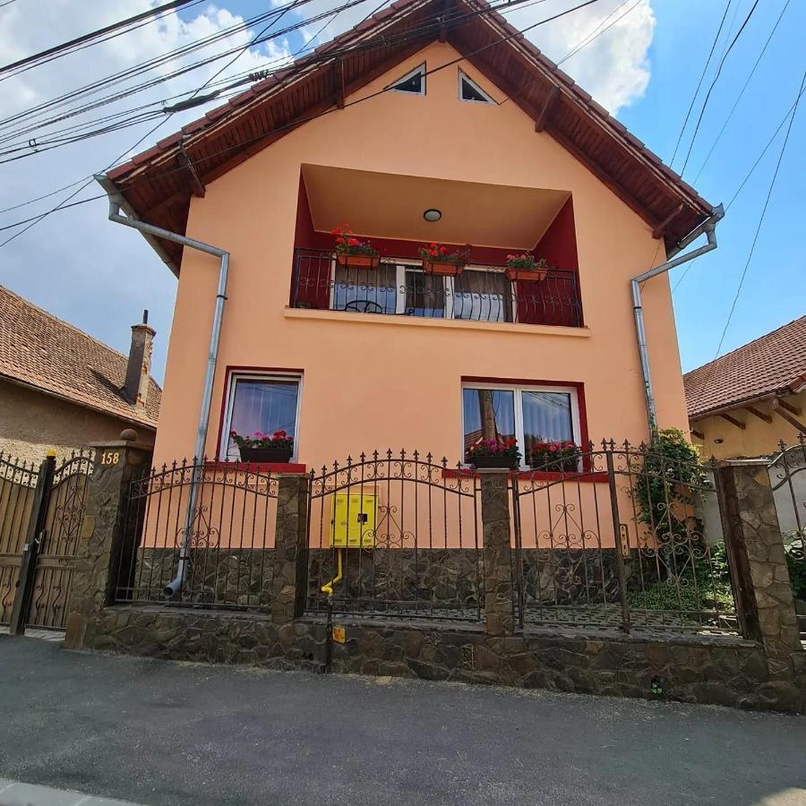 Vila Vladut Zărneşti Dış mekan fotoğraf