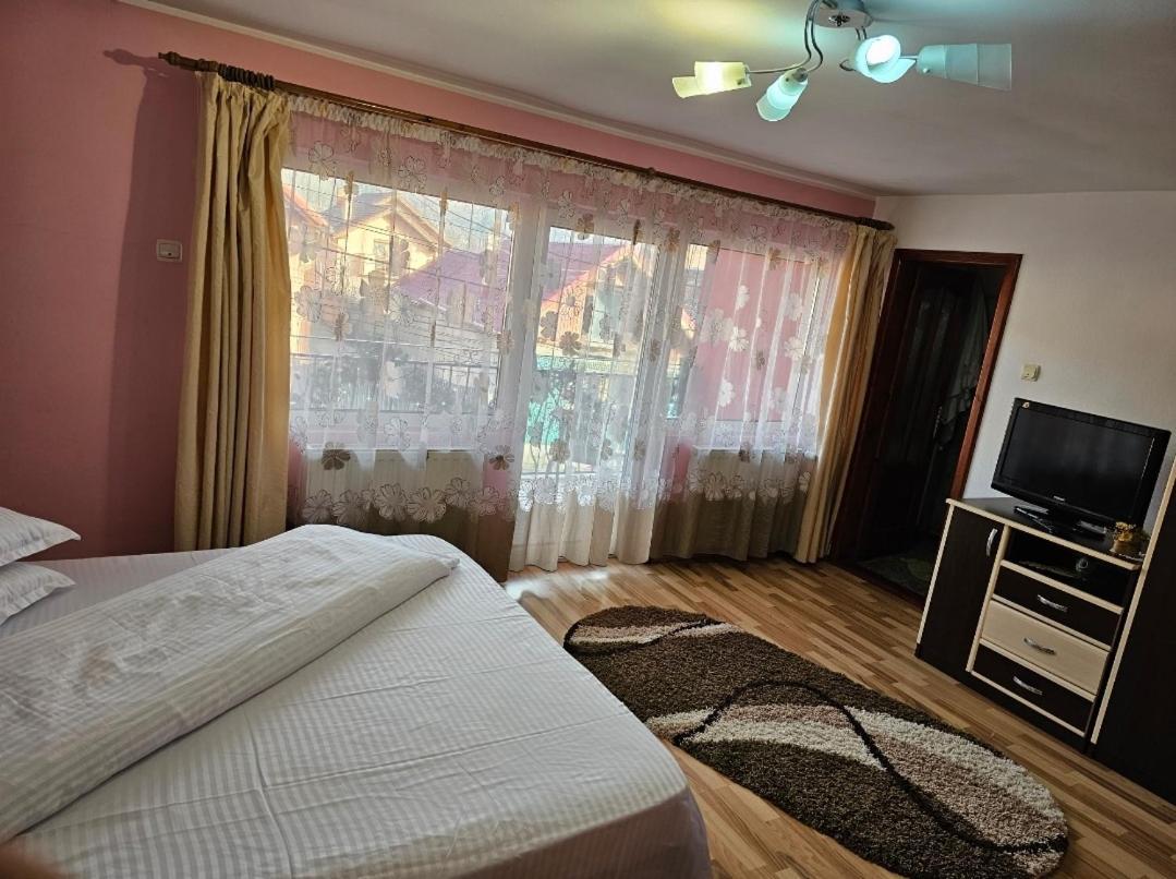 Vila Vladut Zărneşti Dış mekan fotoğraf