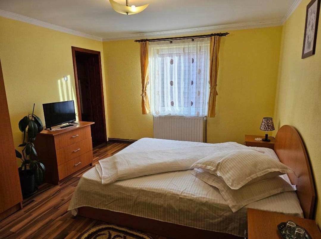 Vila Vladut Zărneşti Dış mekan fotoğraf